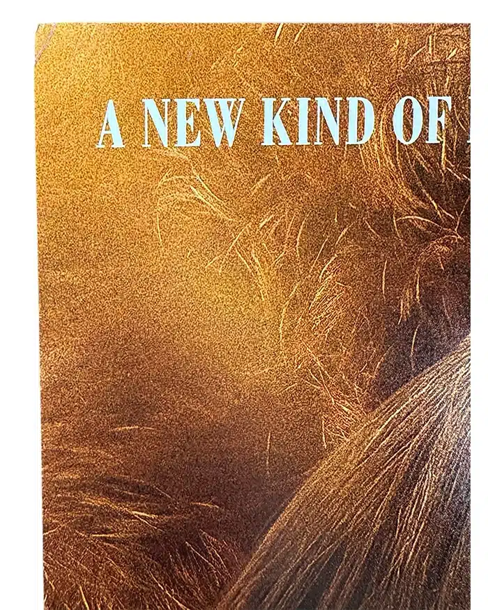 Drew Hancock signed 11x17 Poster Director Writer Companion img